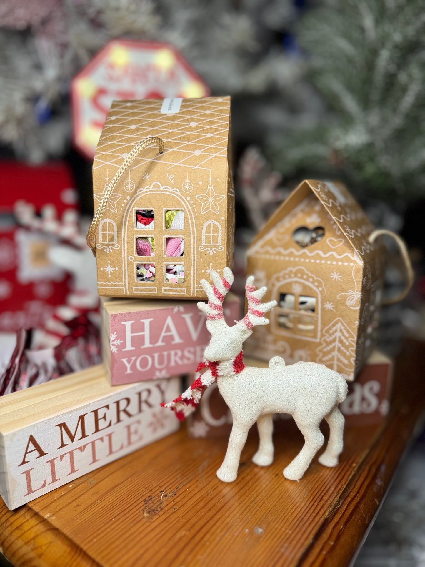 Mystery Christmas Box