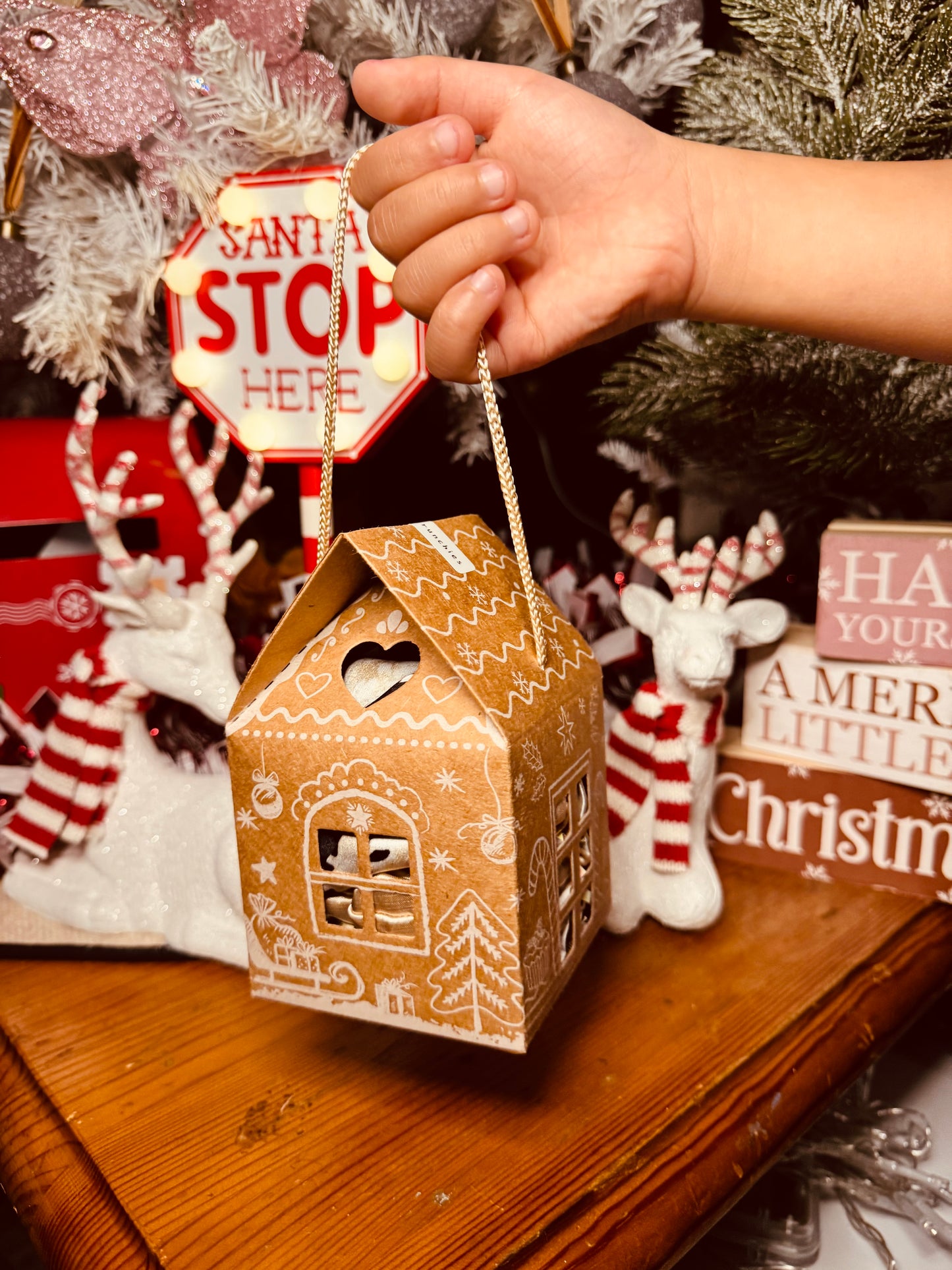 Mystery Christmas Box